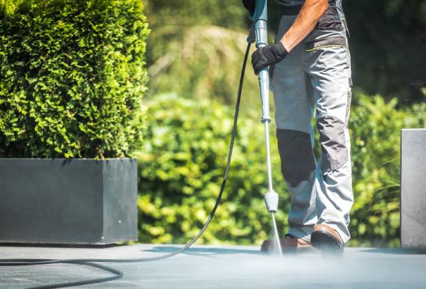 Best Gutter Cleaning  in Channel Lake, IL