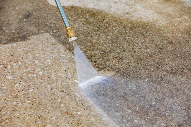 Best Animal Enclosure Cleaning  in Channel Lake, IL