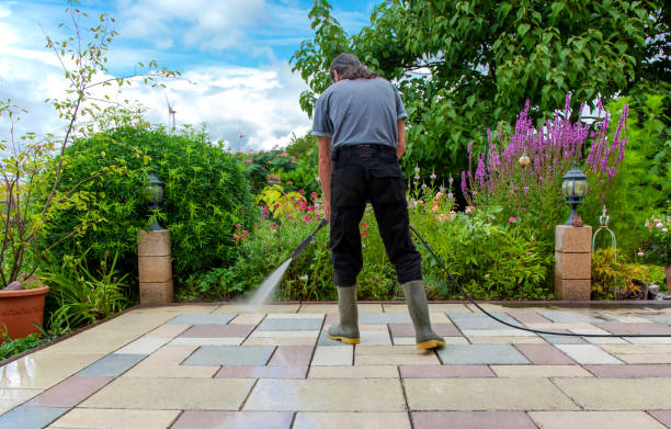 Best Driveway Pressure Washing  in Channel Lake, IL